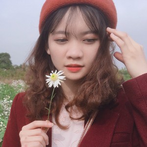 Vũ Thị Hồng Nhung