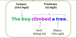 Tân ngữ trong tiếng Anh